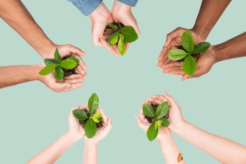 Respect de l'environnement